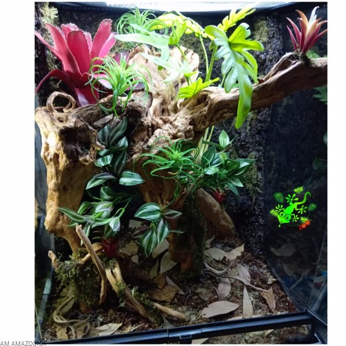 HabiStat Leaf Litter Ściółka z liści- detailling podłoża do terrarium 500g