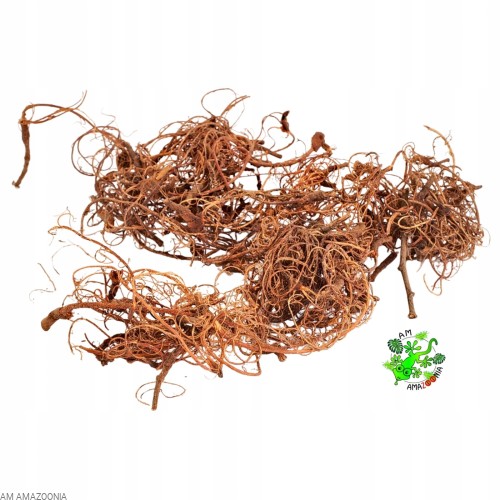 Curly Moss Naturalne korzonki mchu dekoracyjnego do terrarium 50 g