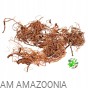 Curly Moss Naturalne korzonki mchu dekoracyjnego do terrarium 50 g