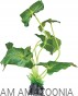 REPTO PLANT Sztuczny stojący filodendron, philodendron do terrarium 30 cm