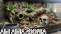 miska narożna, czaszka ludzka aranżacja terrarium.png