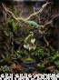 roślina nawadniająca aranżacja terrarium.png