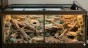 aranżacja terrarium pustynne z oprawą i świetlówką exo terra.jpg