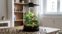 aranżacja bio art cylinder 285.jpg