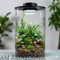 aranżacja bio art gravel i bio art cylinder.jpg