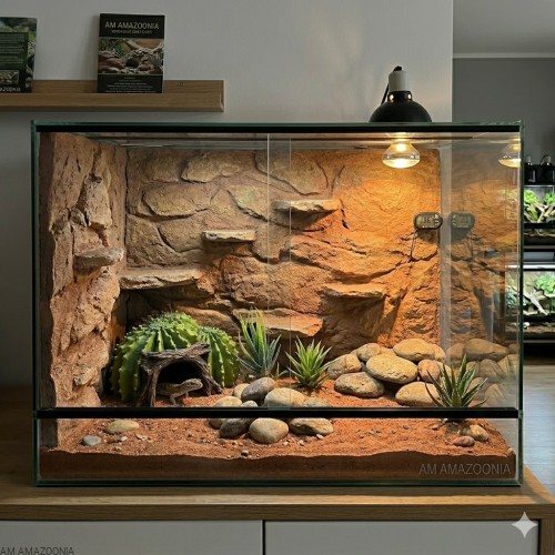 aranżaja terrarium pustynne z repto aloes.jpg