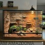 aranżaja terrarium pustynne z repto aloes.jpg