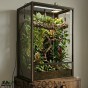 aranżacja terrarium dla kamelona repto Hanging Round Leaves.jpg