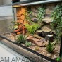 aranżacja terrarium dla eublefara lamparciego z repto deco triple tunk.jpg