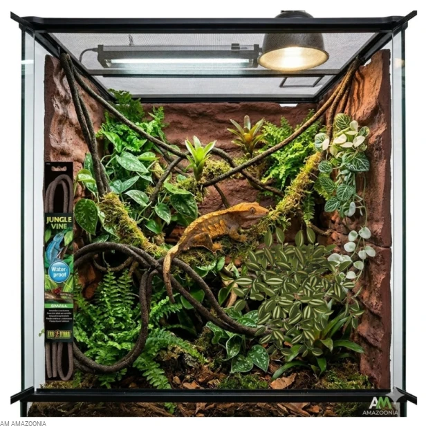 aranżacja terrarium liana vine exo terra.jpg
