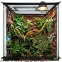 aranżacja terrarium liana vine exo terra.jpg