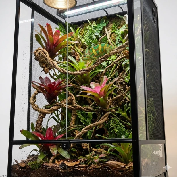 aranżacja terrarium repti planet 60x45x90 dla kameleona.jpg