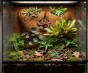 aranżacja terrarium roślinnego ze ścianką kokosową.jpg