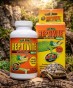 reptivite z d3, prezentacja produktu z żoółwiem lamparcim.jpg