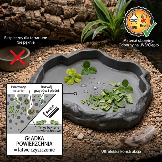 repti rock dish najważniejsze informacje.jpg