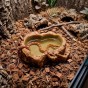 reptile nova rep dish s wizualizacja z wezem zbozowym.jpg
