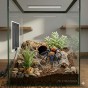 montaż maty grzewczej w terrarium z ptasznikiem.jpg