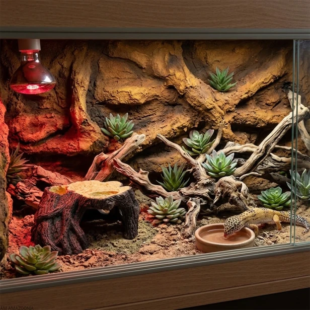 kryjówka reptile nova pień drzewa w terarrium dla eublefara lamparciego.jpg