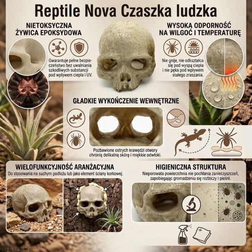 Reptile Nova czaszka ludzka zalety.jpg