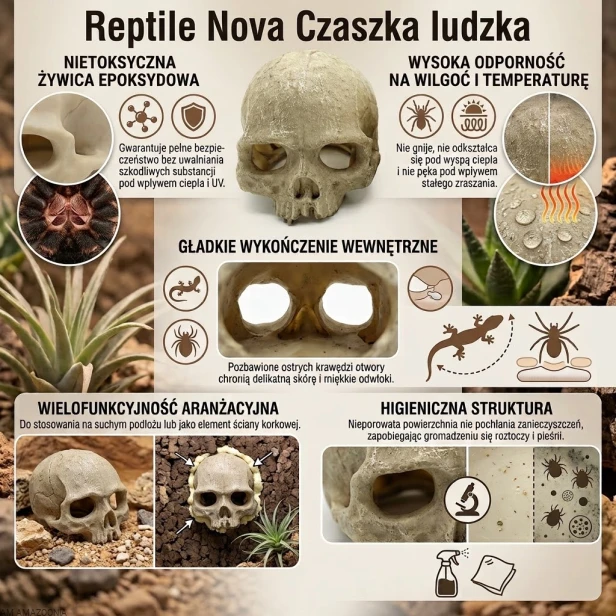 Reptile Nova czaszka ludzka zalety.jpg