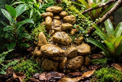 wodospad ezo terra w terrarium z rzekotką.jpg