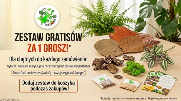 Zestaw gratisów za 1 grosz.jpg