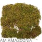 repti planet mech płat.jpeg