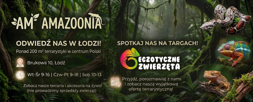 AM AMAZOONIA Sklep terrarystyczny Łódź i cała Polska