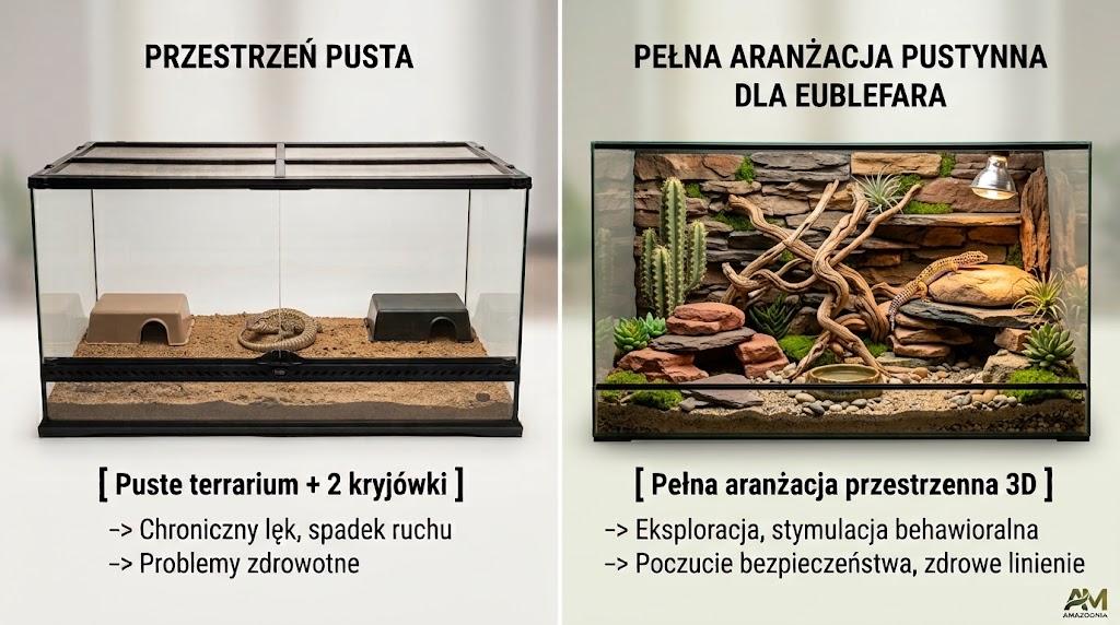 Schemat wielopoziomowego zagospodarowania przestrzeni 3D w terrarium dla gadów.